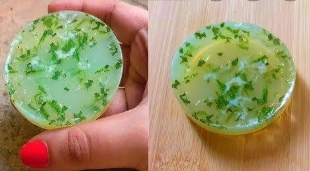 Cucumber And Basil Leaf soap